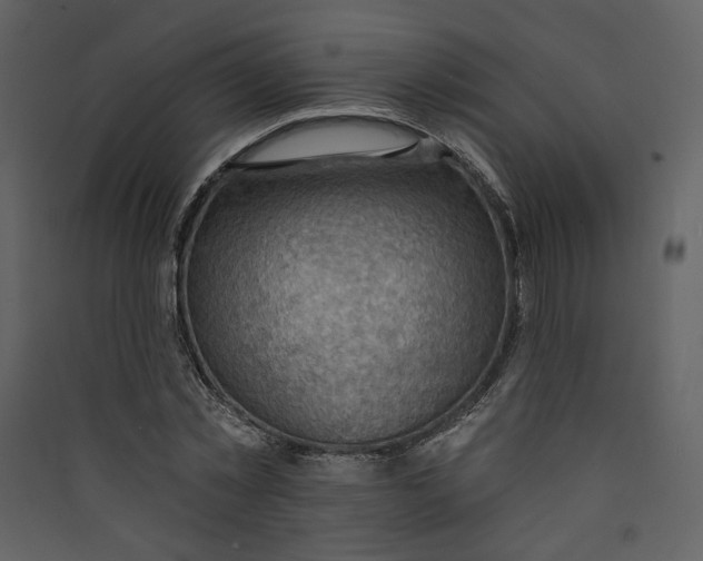 X0000089380781200707131657