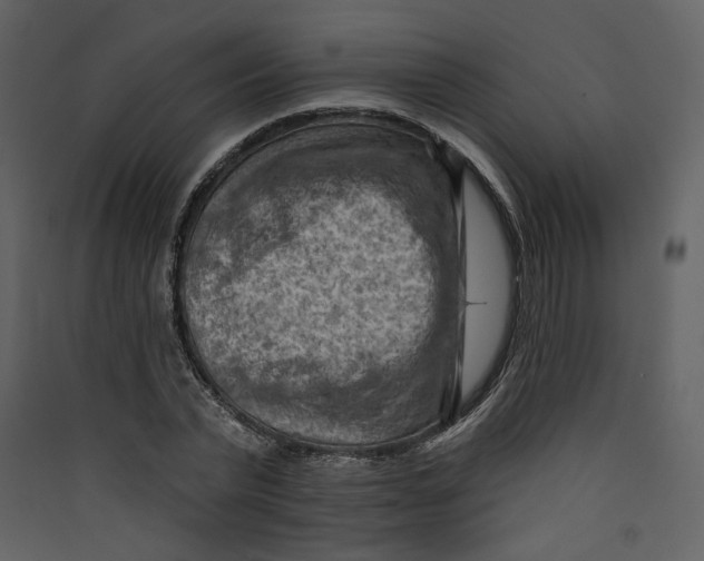 X0000089380783200707131657