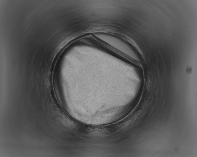 X0000089380786200707131657