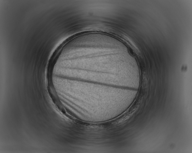 X0000089380788200707131657