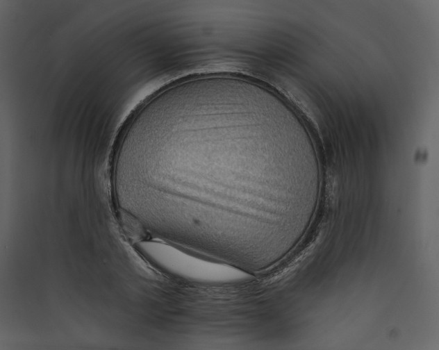 X0000089380789200707131657