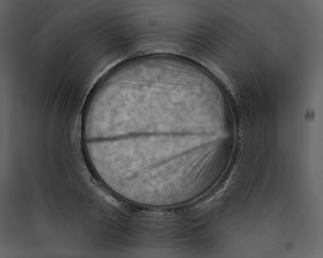 X0000089380790200707131657