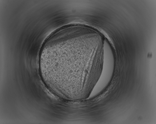 X0000089380791200707131657