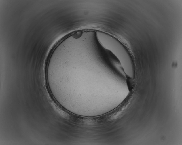 X0000089380792200707131657