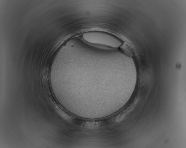 X0000089380793200707131657