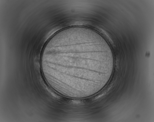 X0000089380794200707131657