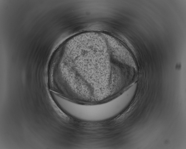 X0000089380795200707131657