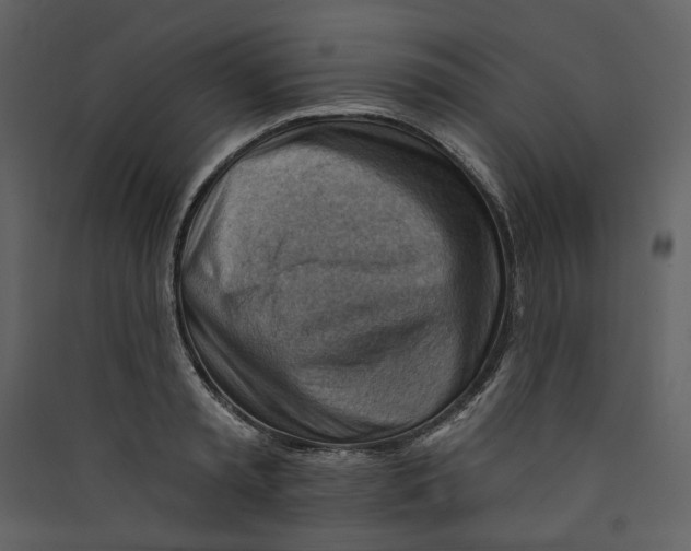 X0000089380797200707131657