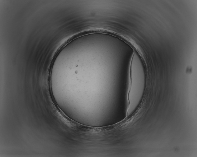 X0000089380799200707131657