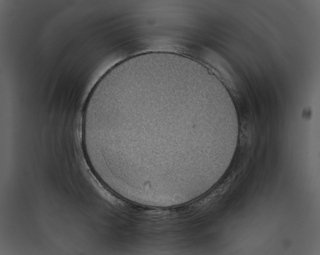 X0000089380804200707131657