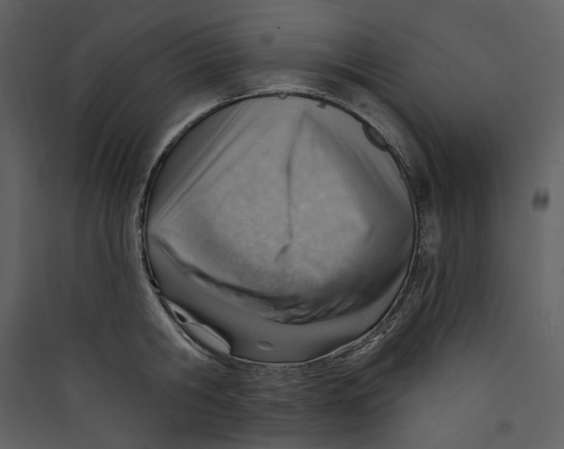 X0000089380806200707131657