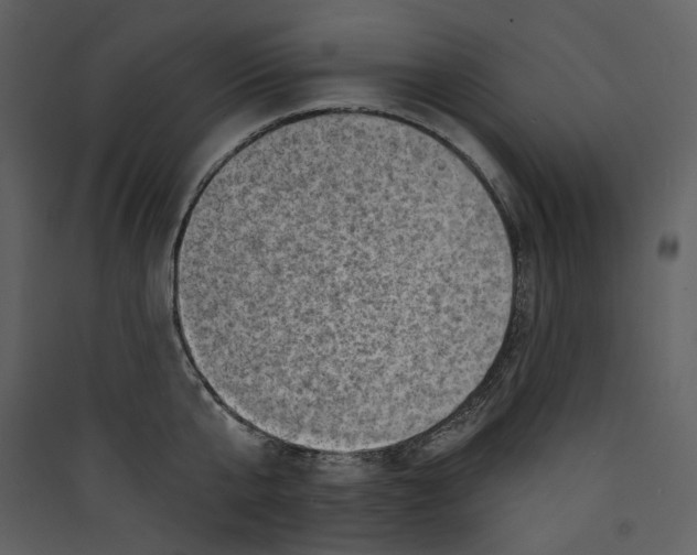 X0000089380807200707131656