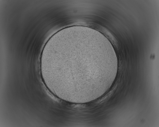 X0000089380808200707131656