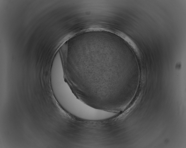 X0000089380809200707131656