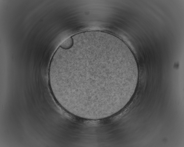 X0000089380810200707131656