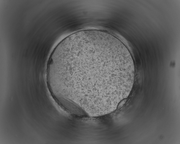 X0000089380811200707131656