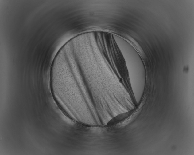 X0000089380812200707131656