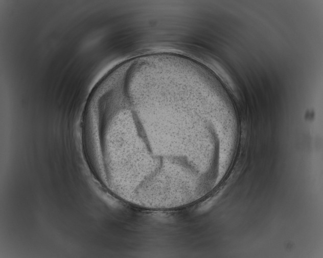 X0000089380814200707131656