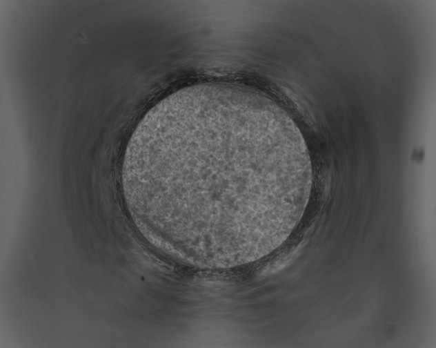 X0000089380817200707131656