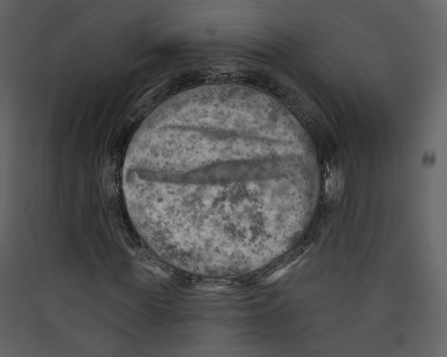 X0000089380819200707131656