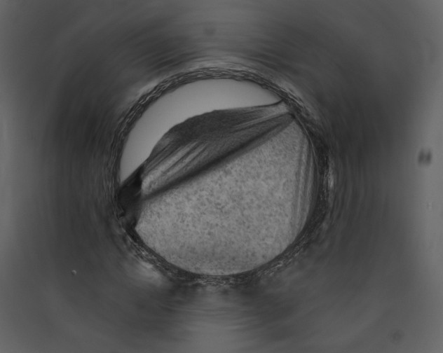 X0000089380822200707131656