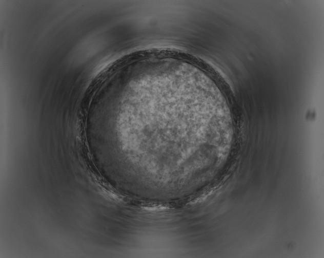 X0000089380823200707131656