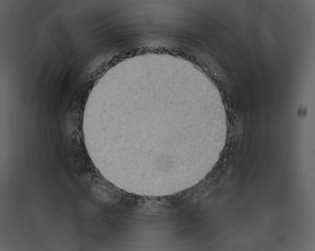 X0000089380824200707131656