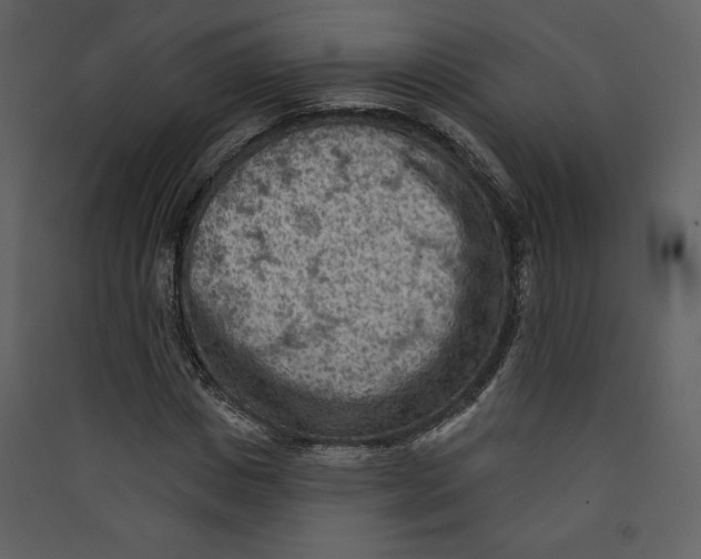 X0000089380825200707131656