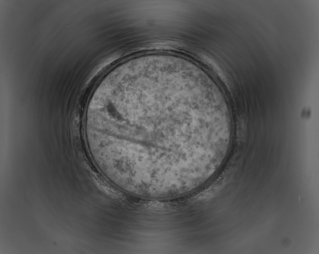 X0000089380827200707131656