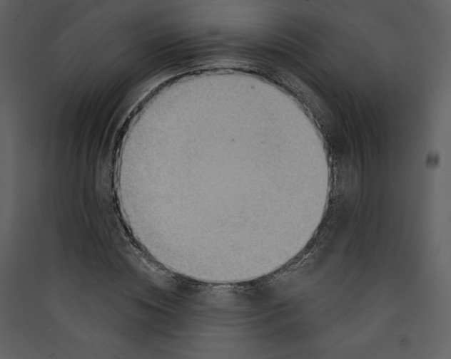 X0000089380828200707131656