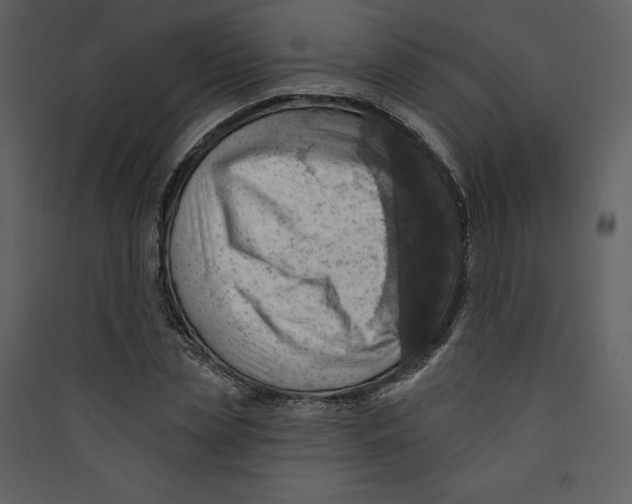 X0000089380829200707131656