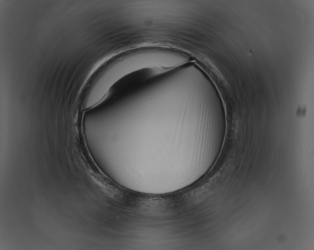 X0000089380830200707131656