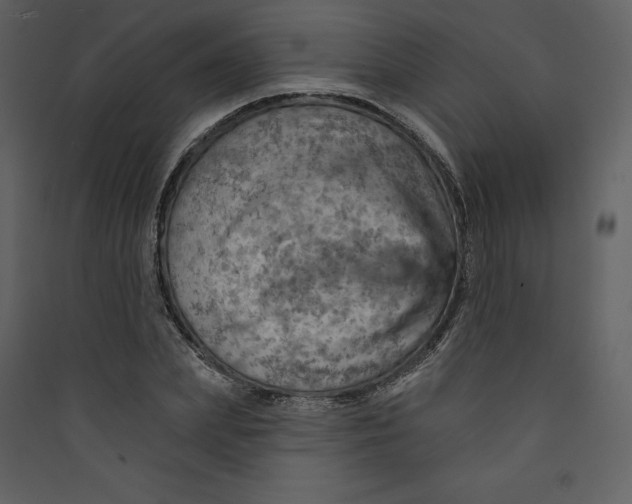 X0000089380831200707131656