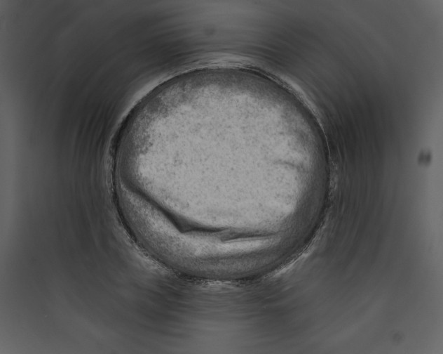 X0000089380835200707131656