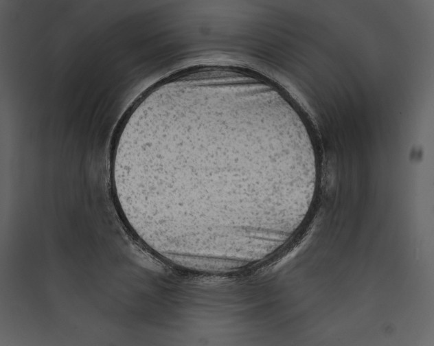 X0000089380837200707131656