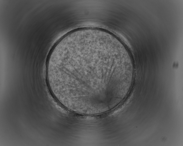 X0000089380839200707131656