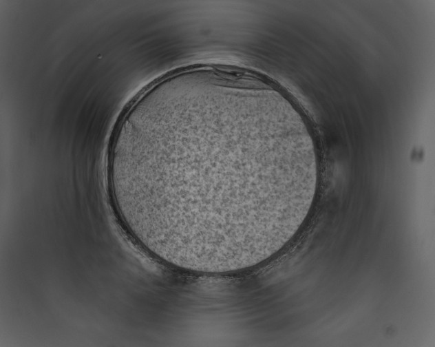 X0000089380840200707131656