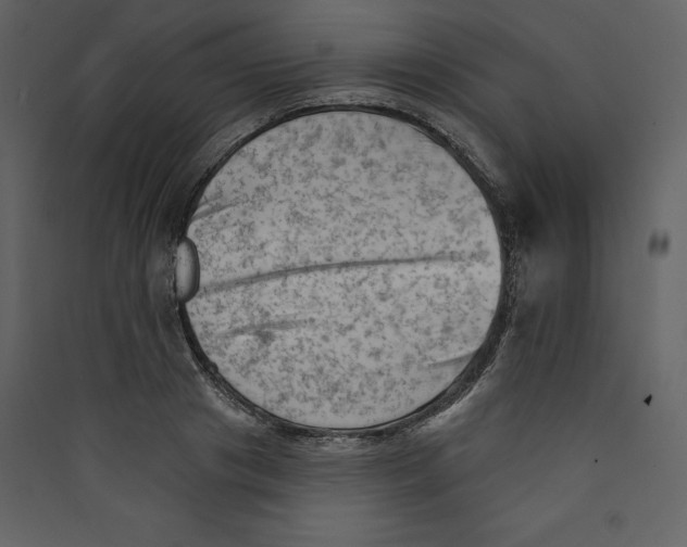 X0000089380841200707131656