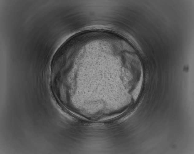 X0000089380844200707131656