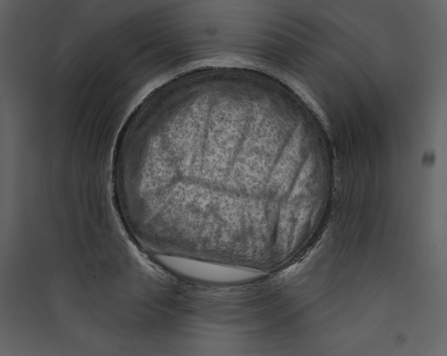 X0000089380845200707131656