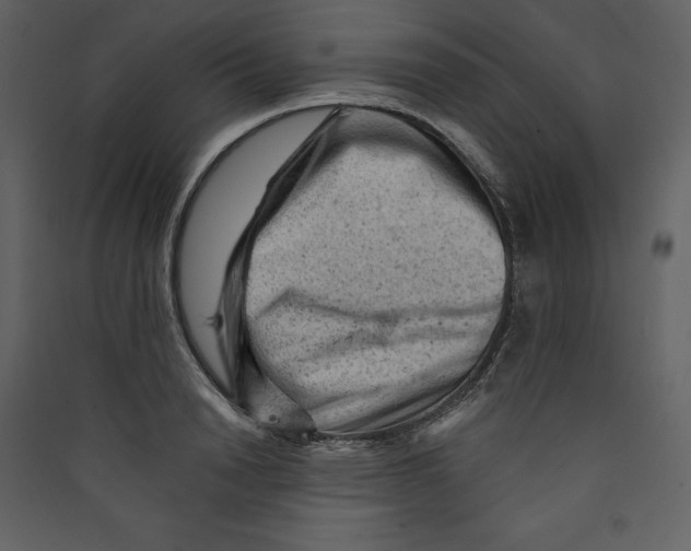 X0000089380846200707131656