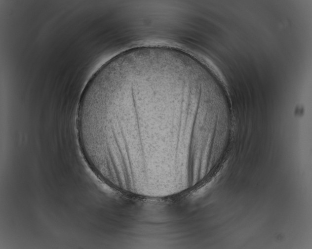 X0000089380847200707131656