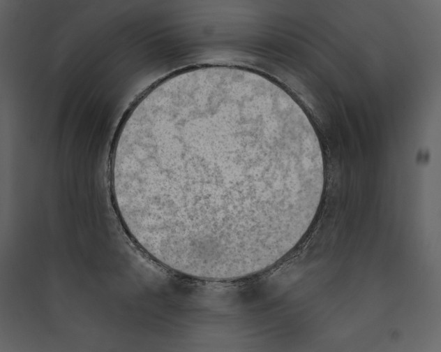 X0000089380848200707131656