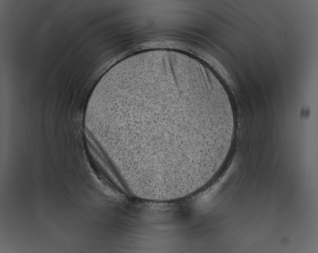 X0000089380849200707131656