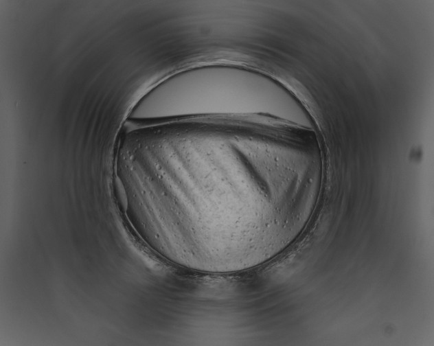 X0000089380850200707131656