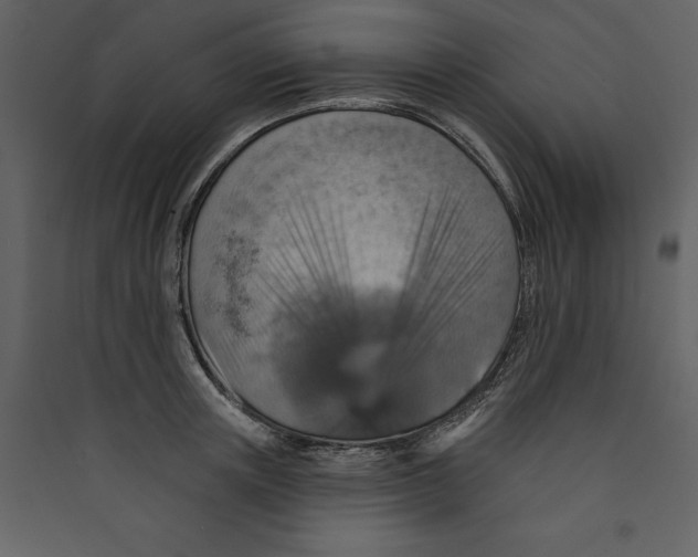 X0000089380851200707131656