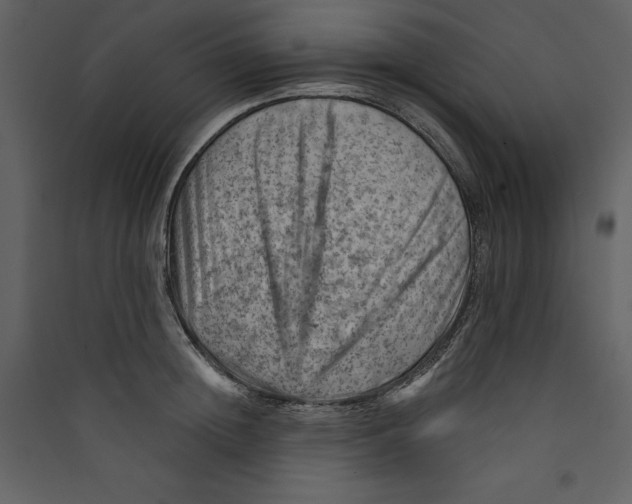 X0000089380852200707131656