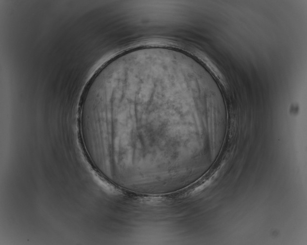 X0000089380853200707131656