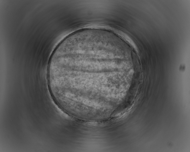 X0000089380855200707131656