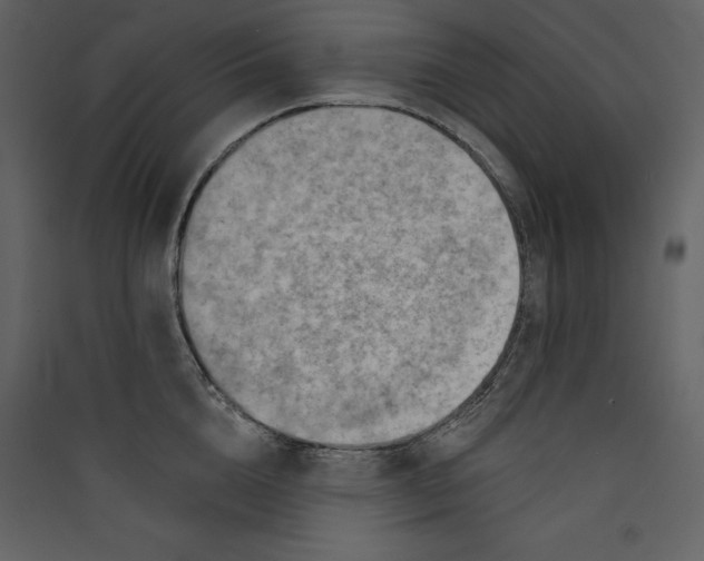 X0000089380856200707131656